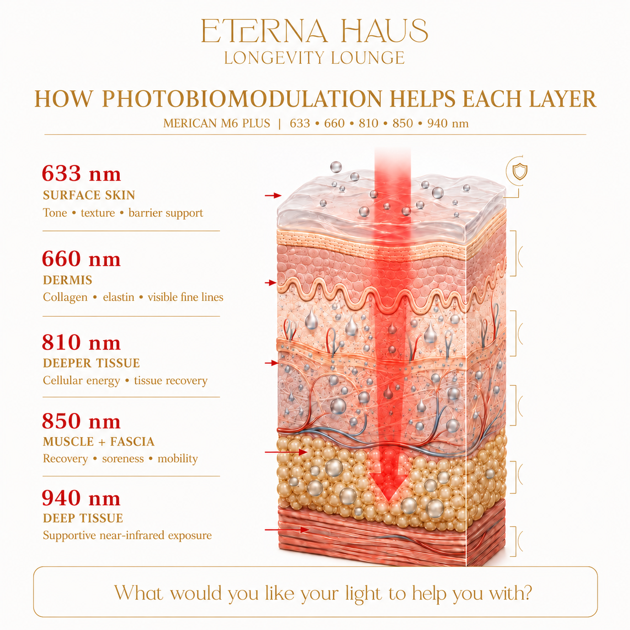 How Photobiomodulation Helps Each Layer - 633, 660, 810, 850, 940 nm