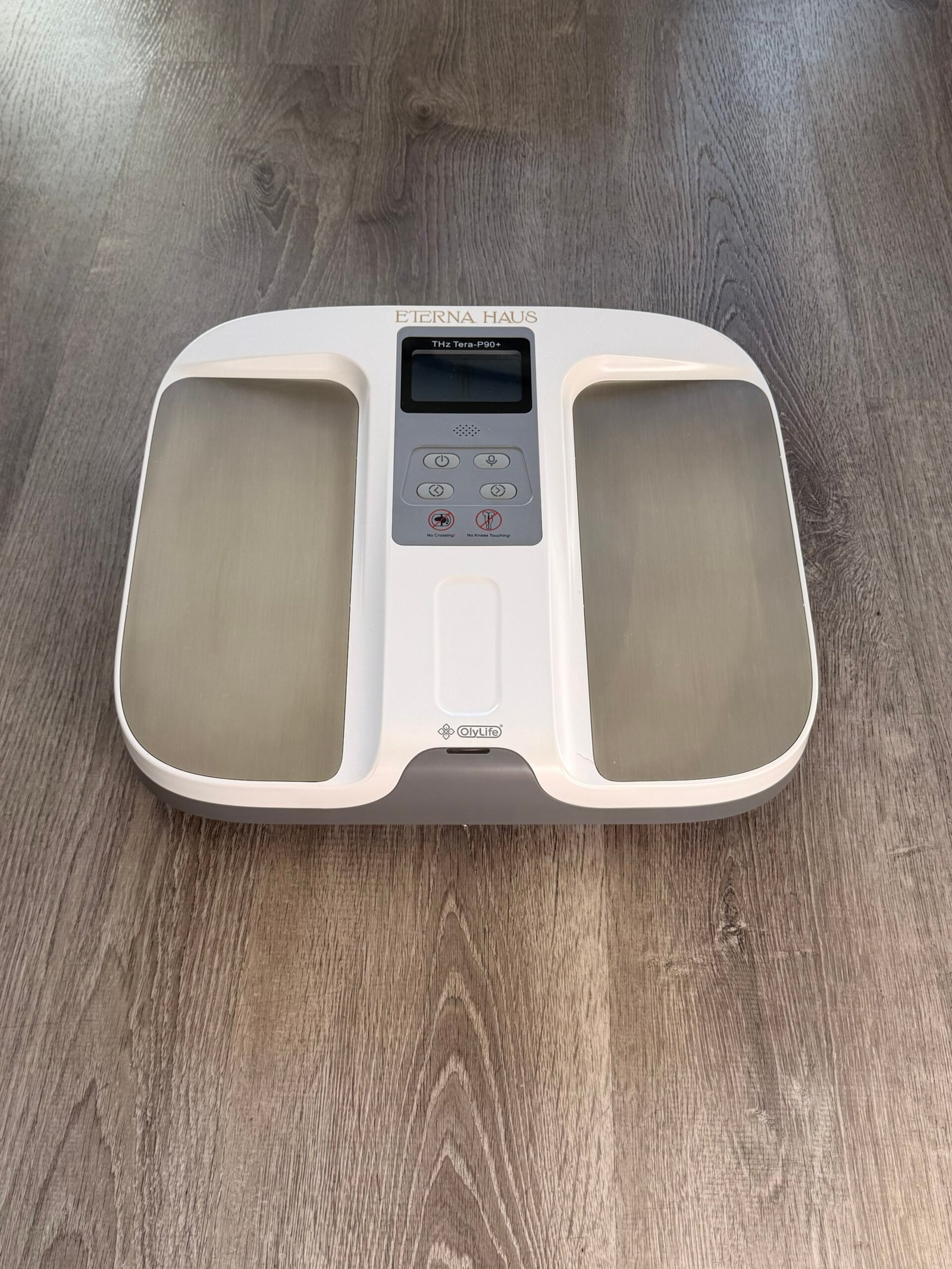 THz Tera P90+ PEMF Foot Plate