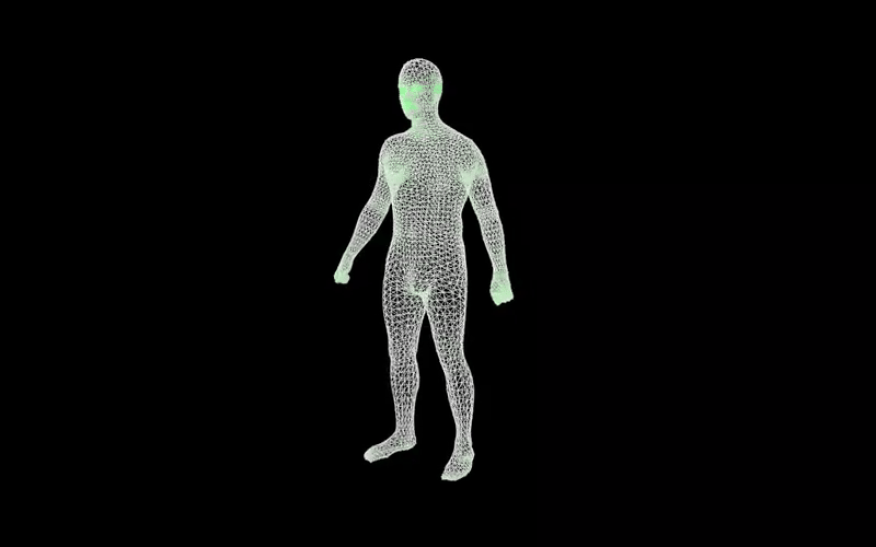 Body Composition and Longevity Assessment Experience