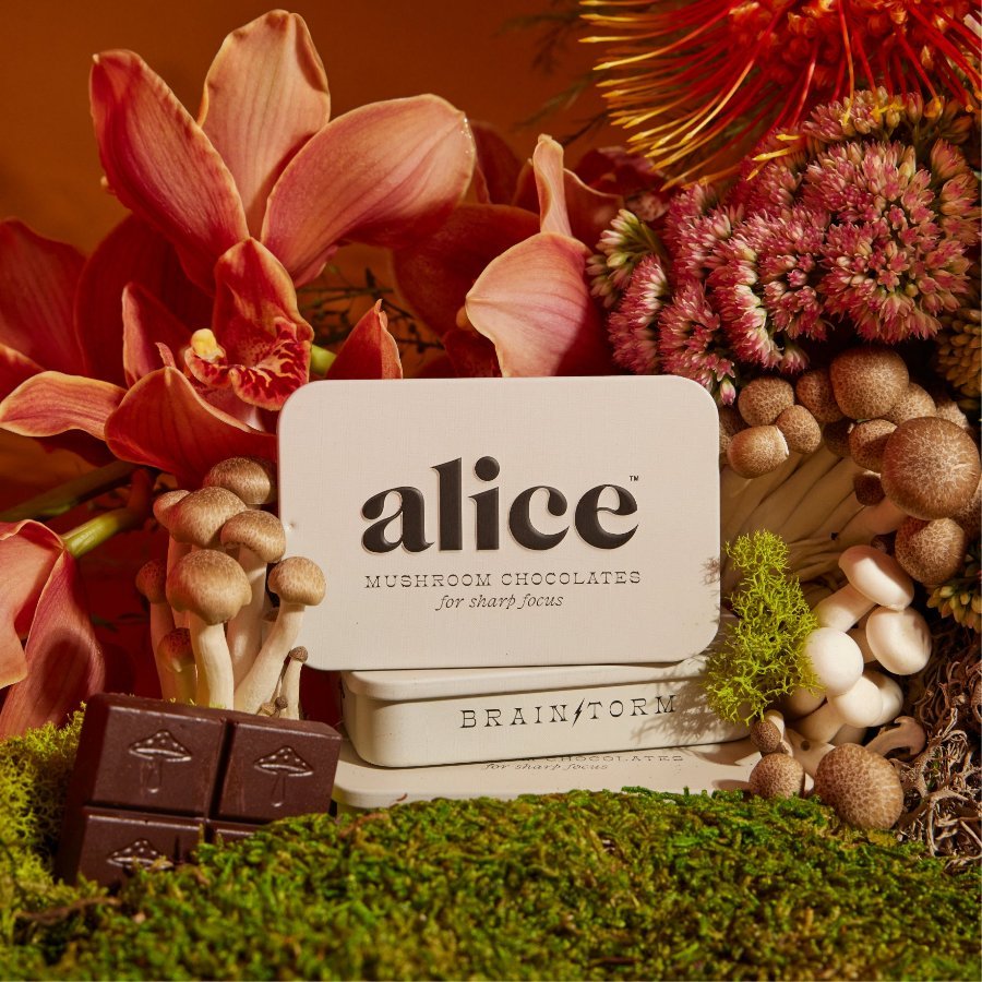 Alice Brainstorm functional mushroom chocolates