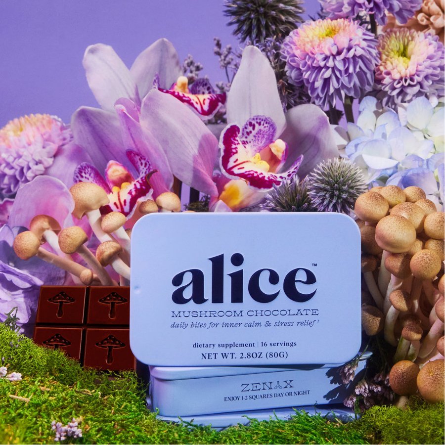 Alice Zen x functional mushroom chocolates