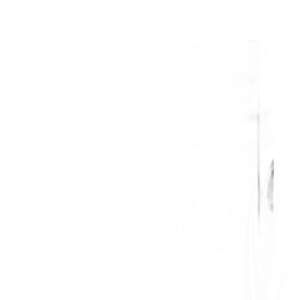 Plunge